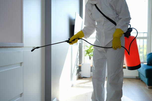 Best Office Mold Removal Services  in Winfield, WV